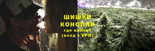 прущие грибы Кинешма