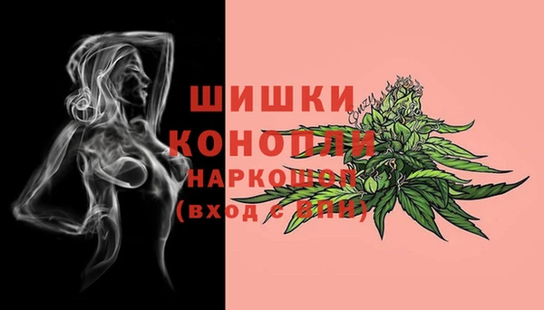 прущие грибы Кинешма