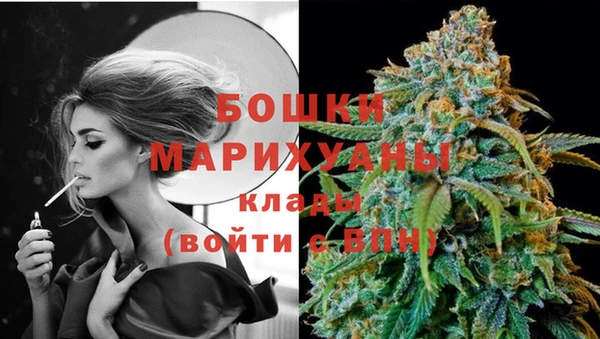 прущие грибы Кинешма