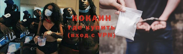 прущие грибы Кинешма