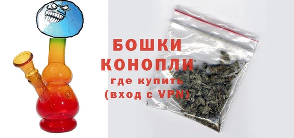 прущие грибы Кинешма